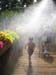 Mist 1