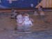 Swim 2