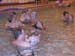 Swim 8