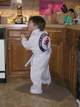 Tae Kwon Do 2