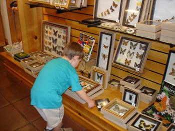Jack in MOBOT gift shop