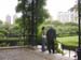 Central Park NE 3