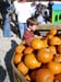 Jack choosing pumpkin