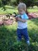 Apple picking 4