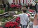 Botanical Garden 10
