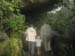 Botanical Garden 5