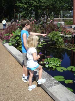 Botanical Garden 2