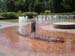 Description: Botanical Garden 3