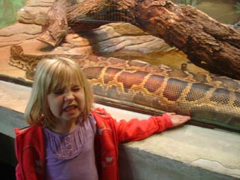 Zoo 4