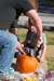 Description: Pumpkin 3