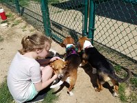 Dog Park 2