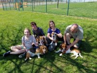 Dog Park 7