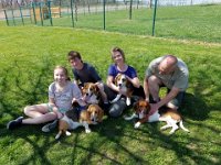 Dog Park 8