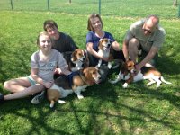 Dog Park 9
