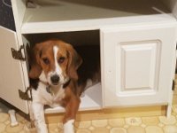 Kitchen Play 1