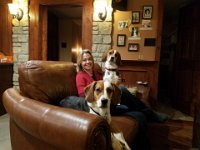 Dogs 1