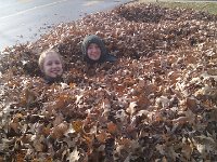 Leaves 1