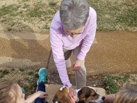 Puppies 13