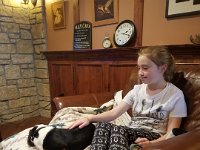 Puppies 5