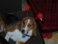 Antennas 5