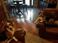 Mancave 7