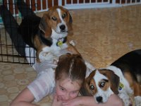 Dogs 3