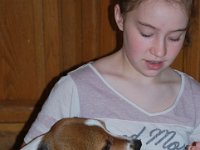 Dogs 6