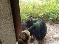 Zoo 1
