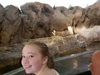 Zoo 2