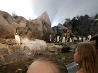 Zoo 3