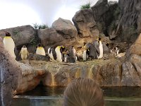 Zoo 4