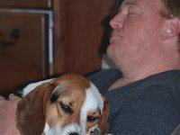 Chair Dog 1