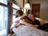 Couch Dog 2