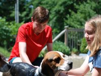Dog Bath 6