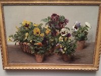 Art Museum 4