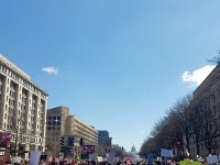 March 7