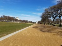 National Mall 2