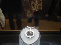 Natural History 3