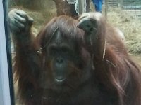 Zoo 1
