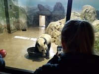 Zoo 10