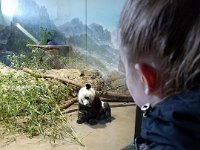 Zoo 11