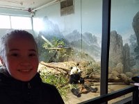 Zoo 12