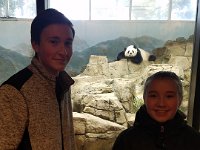 Zoo 15