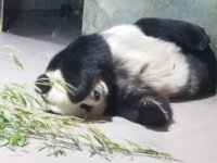 Zoo 16