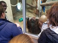 Zoo 18