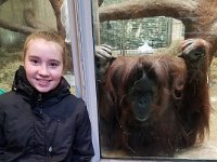 Zoo 19