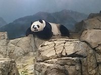 Zoo 2