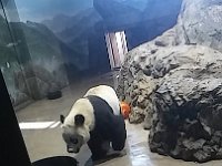 Zoo 3