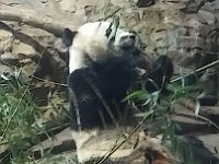 Zoo 4