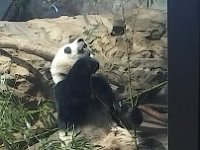 Zoo 5